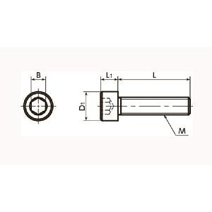 SNSA-M3-10 NBK Hex Socket Head Cap Screws - Aluminum One Screw Made in Japan