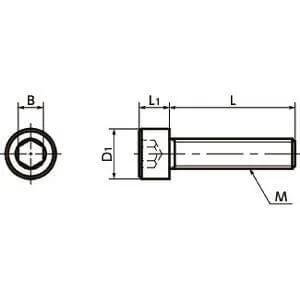 SNSH-M4-8-C22 NBK Socket Head Cap Screw - Hastelloy C-22 equiv Made in Japan