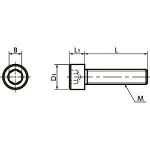 SNSI-M4-16 NBK Socket Head Cap Screw - Inconel equiv.- Made in Japan