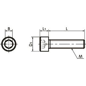 SNSI-M6-12 NBK Socket Head Cap Screw - Inconel equiv.- Made in Japan - VXB Ball Bearings