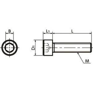 SNSIV-M6-30 NBK Socket Head Cap Screw - Super Invar Made in Japan