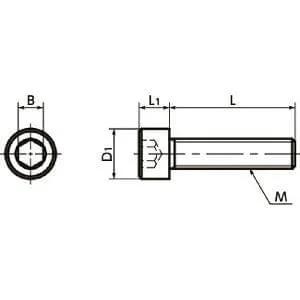 SNSJ-M10-40 NBK Socket Head Cap Screws - SUS310S- Made in Japan