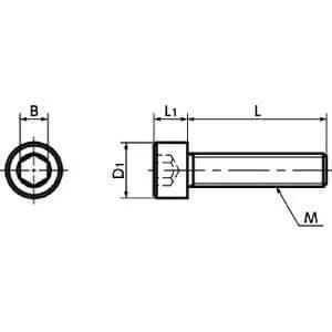 SNSMN-M3-6 NBK Hex Socket Head Cap Screws (Monel 400 equiv.)- Made in Japan