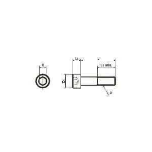 SNSS-#12-24-3/4 NBK Hex Socket Head Cap Screws - Inch Thread- Pack of 10. Made in Japan