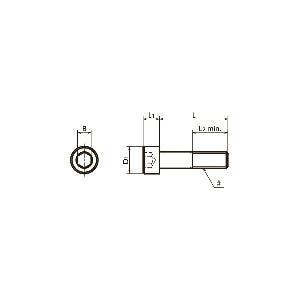 SNSS-1/4-20-7/8 NBK Hex Socket Head Cap Screws - Inch Thread- Pack of 10. Made in Japan