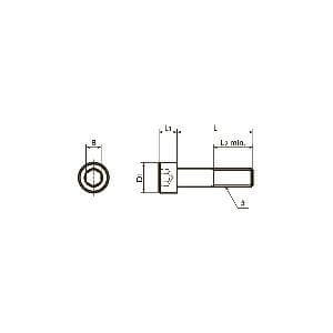 SNSS-3/8-16-5/8 NBK Hex Socket Head Cap Screws - Inch Thread- Pack of 10. Made in Japan