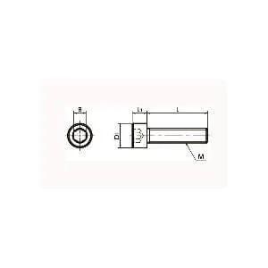 SNSS-M4-10-TF NBK Hex Socket Head Cap Screws - Teflon® Coating One Screw Made in Japan