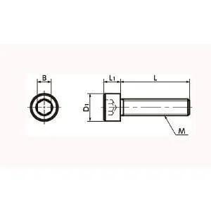 SNSS-M5-16-TF NBK Hex Socket Head Cap Screws - Teflon® Coating One Screw Made in Japan