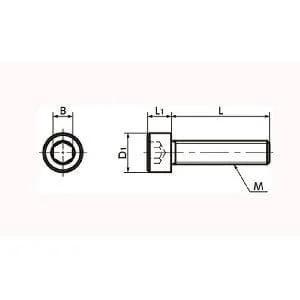 SNSS-M5-8-TF NBK Hex Socket Head Cap Screws - Teflon® Coating One Screw Made in Japan