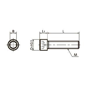 SNSS-M6-30-FC NBK Socket Head Cap Screws Fluorine Coating - Pack of 10. Made in Japan