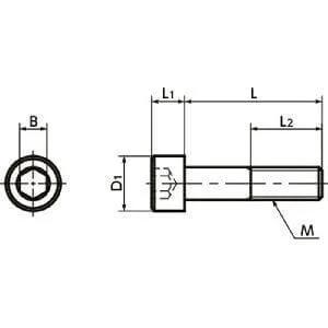 SNSTG-M10-25 NBK Hex Socket Head Cap Screws - High Intensity Titanium Alloy- Made in Japan