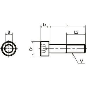 SNSTG-M3-6 NBK Hex Socket Head Cap Screws - High Intensity Titanium Alloy- Made in Japan