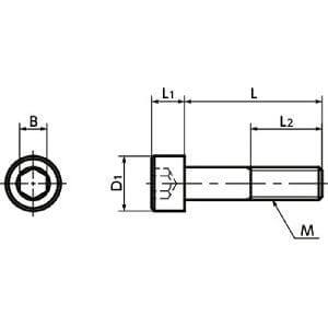 SNSX-M6-20-88 NBK Hex Socket Head Cap Vacuum Vented Screws - High Intensity S.S. Made in Japan