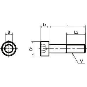 SNSX-M6-25-109 NBK Hex Socket Head Cap Vacuum Vented Screws - High Intensity S.S. Made in Japan