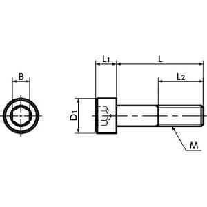 SNSX-M8-30-88 NBK Hex Socket Head Cap Vacuum Vented Screws - High Intensity S.S. Made in Japan