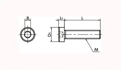 SPA-M4-8-LC NBK Plastic screw - Hex Socket Low Head Bolt - RENY Pack of 20 Screws Made in Japan