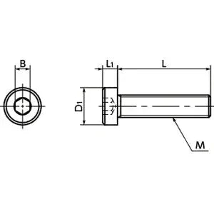 SPE-M4-16-LC NBK Plastic screw - Hex Socket Low Head Bolt - PEEK Made in Japan