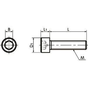 SPEC-M5-12-C NBK Plastic screw - Hex Socket Head Cap Screw - Conductive PEEK Made in Japan