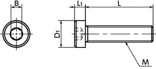 SPS-M4-6-LC NBK Plastic screw - Hex Socket Low Head Bolt - PPS Pack of 10 Screws - Made in Japan - VXB Ball Bearings