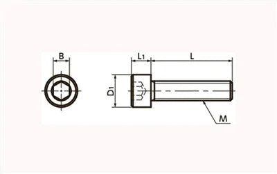 SPS-M5-10-C NBK Plastic Screw - Socket Head Cap Screws - PPS Pack of 10 Screws - Made in Japan - VXB Ball Bearings