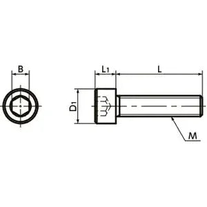 SPV-M6-15-C NBK Plastic Screw - Socket Head Cap Screws - PVDF Made in Japan