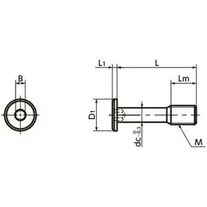SSCHS-M3-10 NBK Socket Head Cap Captive Screws - Special Low Profile Made in Japan
