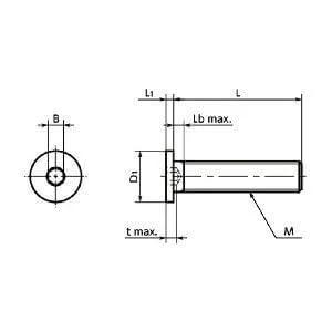 SSHT-M4-12 NBK Socket Head Cap Screws - Special Low Profile - Pure Titanium -Made in Japan