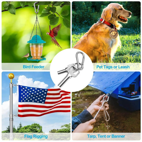 Collage of 10 Pack Stainless Steel Carabiners Clips 1.57 Inch for keys, feeders, pet tags, flags, camping and hiking setup.