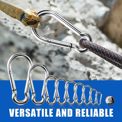 Stainless steel carabiners in various sizes with rope and wood background, labeled versatile and reliable.