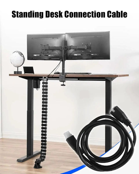 6 Pin Male To Female Standing Desk Connection Cable for lift columns, showing length and under-desk setup in modern office.