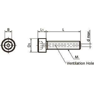 SVST-M3-5 NBK Hex Socket Head Cap Vacuum Vented Screws - Ventilation Hole - Titanium M3 length 5mm Made in Japan