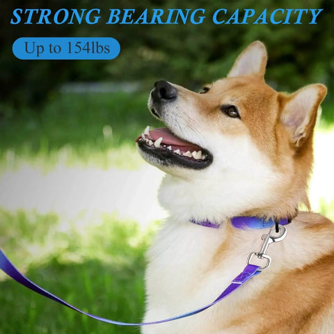 Dog with collar using 3.5 Inch Swivel Eye Bolt Snap Hooks 154 Lbs Load Capacity Zinc Alloy Heavy Duty Single Ended Flag Clips in outdoor setting
