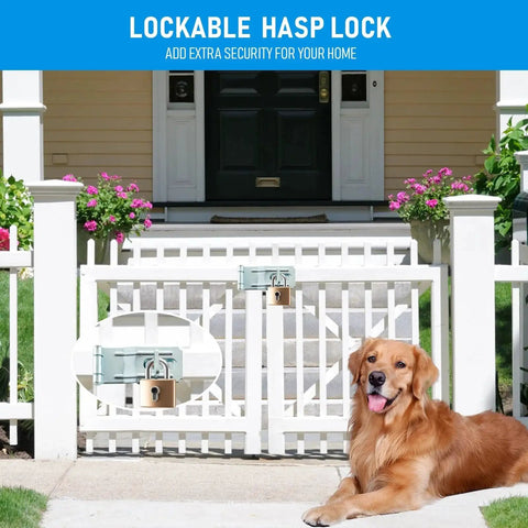 Front gate with 3-1/2 Inch Swivel Staple Safety Hasp and padlock shown, dog sitting nearby, enhancing home security.