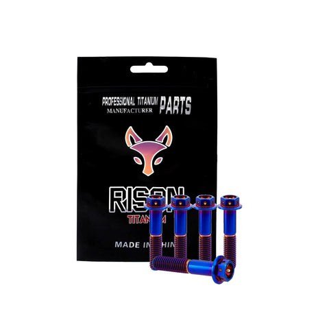 ✝️ RISON Titanium Bolts Hex Head Flange Burnt Blue GR5 Titanium Screws M6x30mm Pack of 5 in front of branded packaging