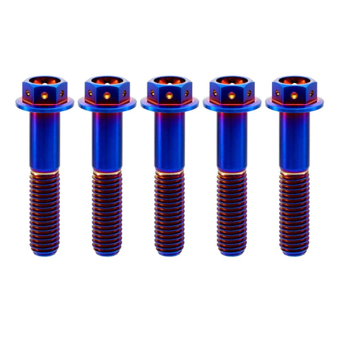 Five ✝️ RISON Titanium Bolts Hex Head Flange Burnt Blue GR5 Titanium Screws M6x30mm Pack of 5 aligned in a row.