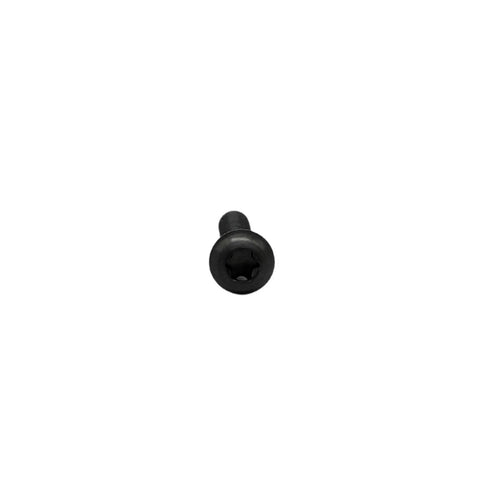 Close-up of a black ✝️ RISON Titanium Screws M3 X 6mm Titanium Torx Button Head Screw, ISO7380, GR2 material, half round head.