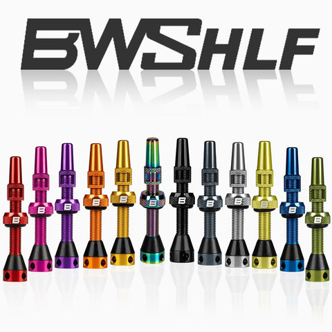 BWSHLF tubeless Presta valve stems in assorted colors, sizes 40/44/55/60/65/80/100 mm, set of 14