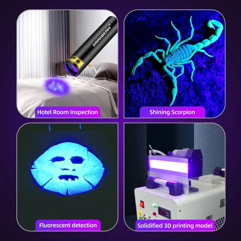 Ultra compact 395nm UV flashlight, USB-C rechargeable in 1 hour, delivering powerful 1300mW for quick pet urine and stain detection, resin curing, and fluorescence tasks, pocket sized for on the go cleanup and inspection.