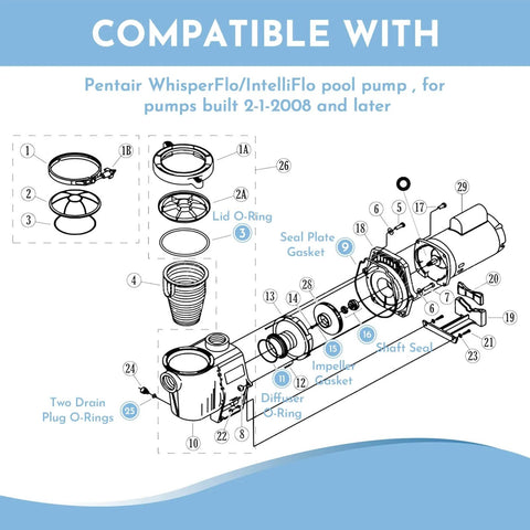Diagram of All In One O Ring Rebuild Kit For WhisperFlo And IntelliFlo Pool Pumps With Seal Gasket Set, includes labeled components.