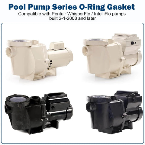 Image of WhisperFlo IntelliFlo pool pumps compatible with All-In-One O-Ring Rebuild Repair Kit for pumps built 2008 and later.