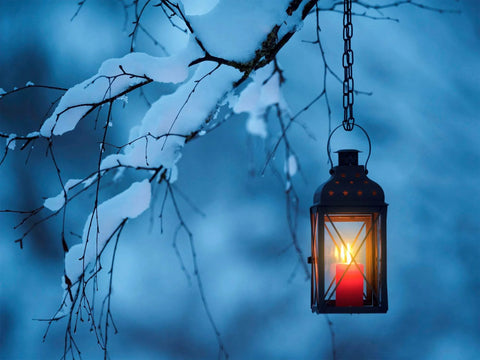 Lantern with red candle hanging on snow-covered branch at dusk
